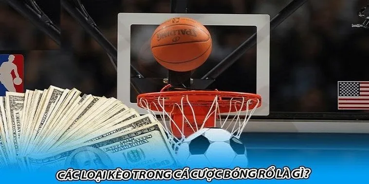 Tìm Hiểu Cá Cược Bóng Rổ 69VN Hấp Dẫn Và Đầy Kịch Tính 1 Tìm Hiểu Cá Cược Bóng Rổ 69VN Hấp Dẫn Và Đầy Kịch Tính