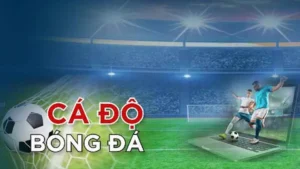 Tìm Hiểu Cá Cược Bóng Đá 69VN Chi Tiết Và Thú Vị Nhất Hiện Nay 7 Tìm Hiểu Cá Cược Bóng Đá 69VN Chi Tiết Và Thú Vị Nhất Hiện Nay
