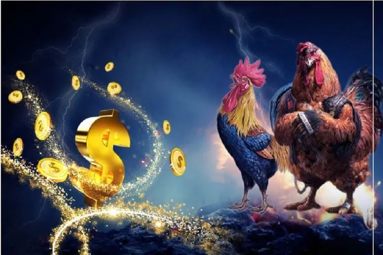 Khám Phá Đá Gà 69VN Nơi Trận Đấu Gà Chiến Sôi Động Nhất 2025